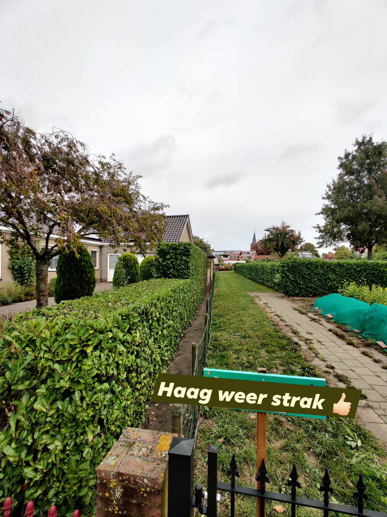 Project 1 - haag weer strak zijkant